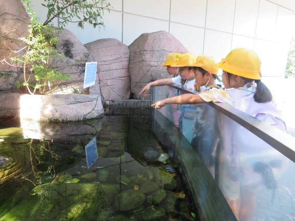 ２年生　動物園１.JPG